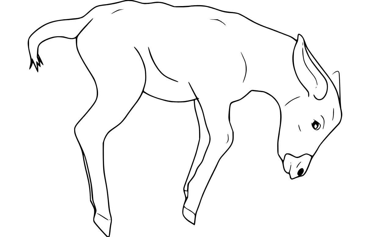 Nakreslete Osel zdarma prostý omalovánka