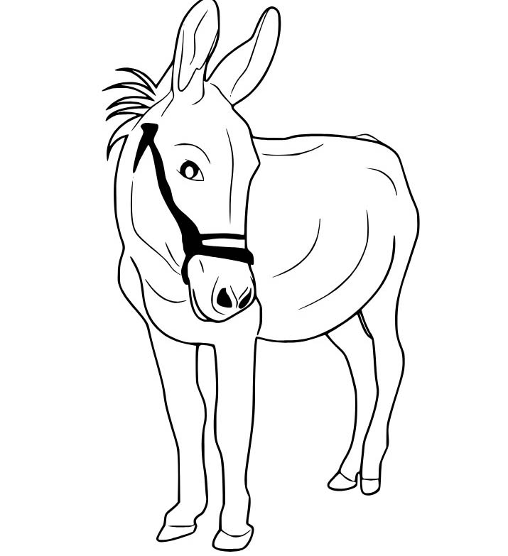 Osel pro děti omalovánka