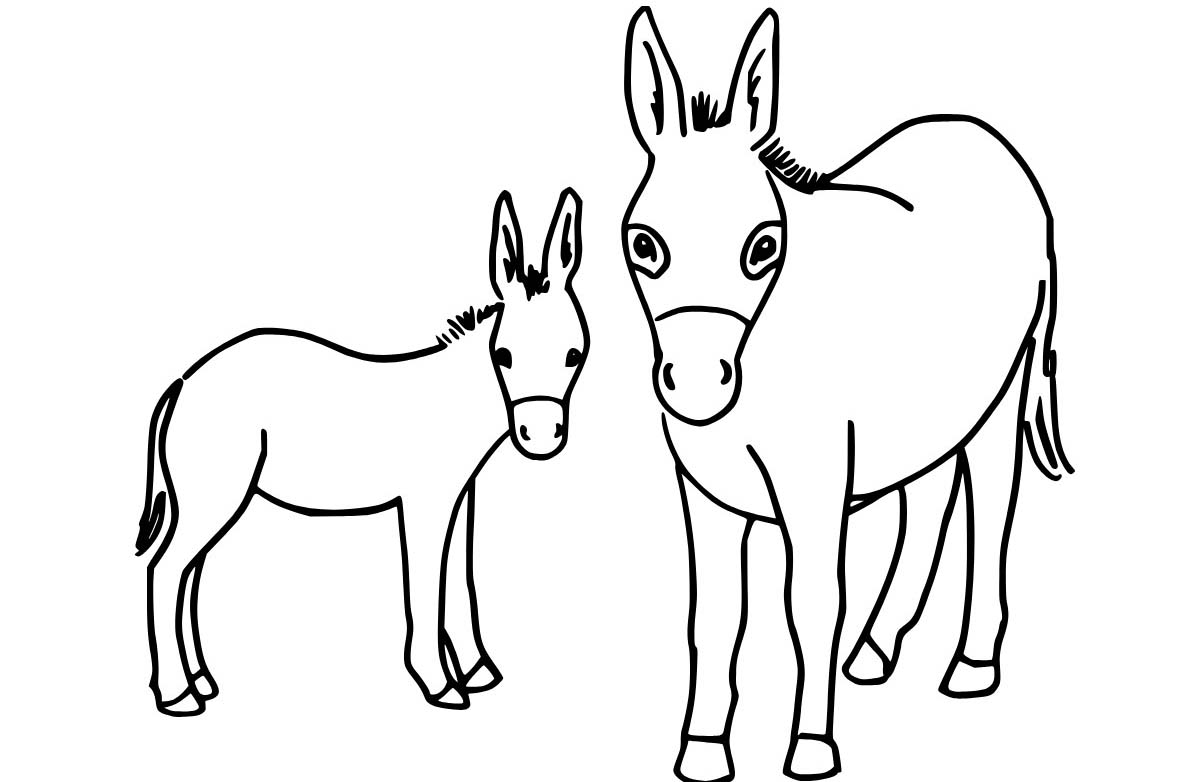 Osel základní tisknutelné omalovánka