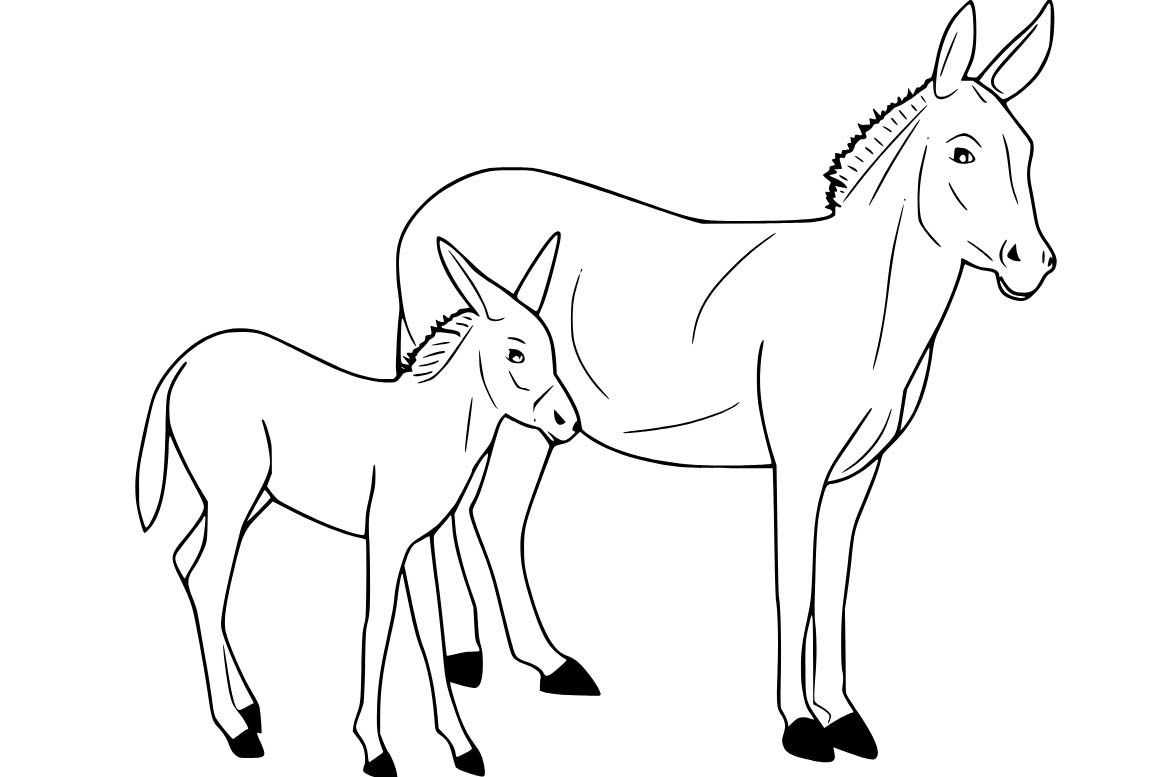 Osel zdarma základní omalovánka