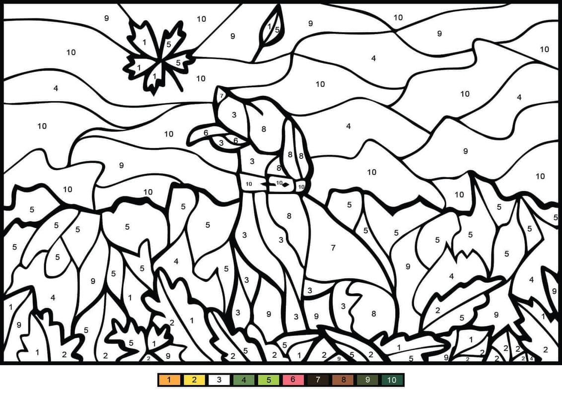 Jednoduchý Zvířata Malování podle čísel omalovánka