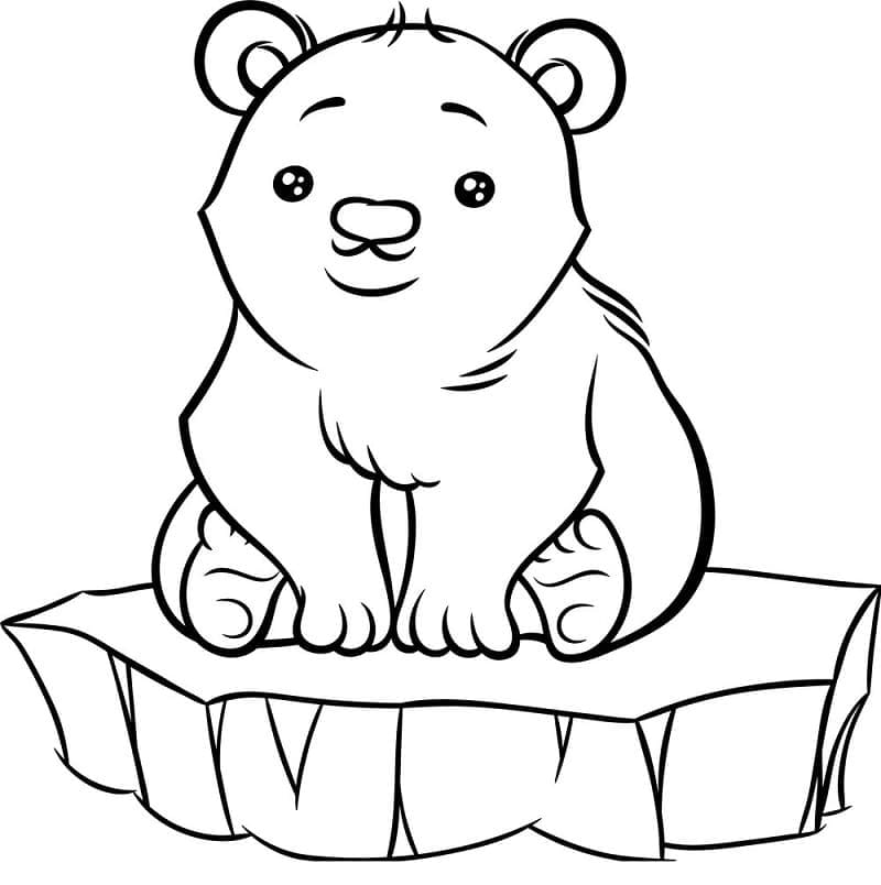 Lední Medvěd prostý u dětí omalovánka