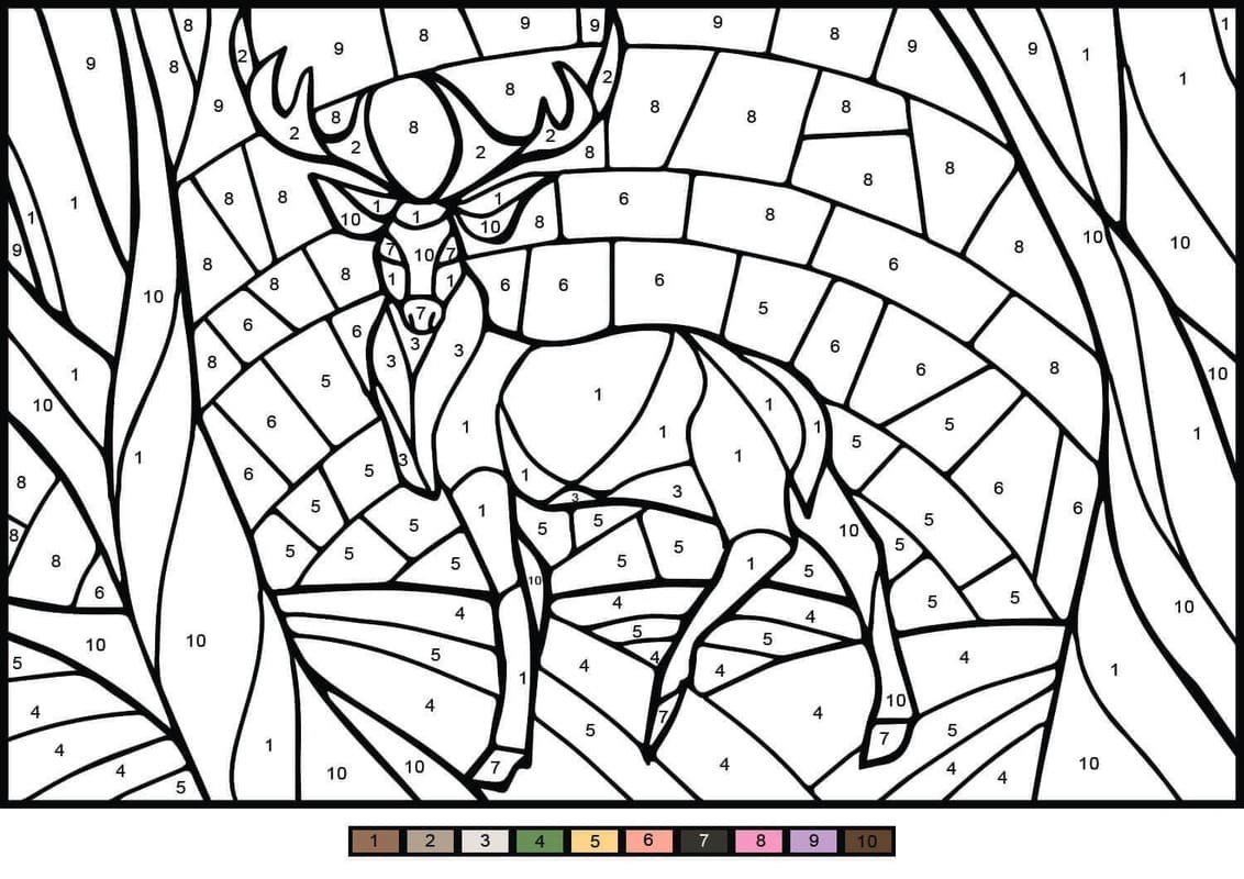 Zvířata Malování podle čísel Jednoduchý omalovánka