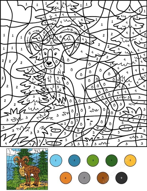 Zvířata Malování podle čísel základní tisknutelné omalovánka