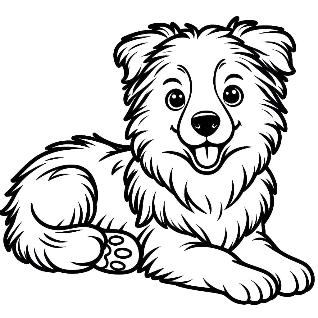 Border Kolie prostý u dětí omalovánka