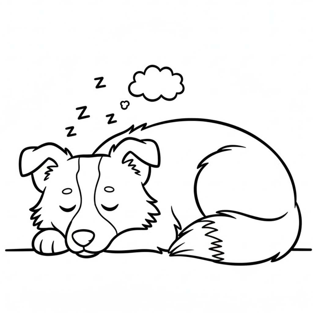 Border Kolie zdarma tisknutelné pro děti omalovánka