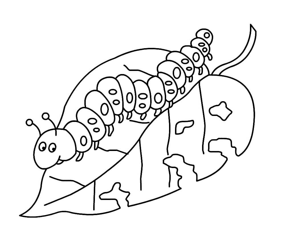 Hluboký Hmyz omalovánka