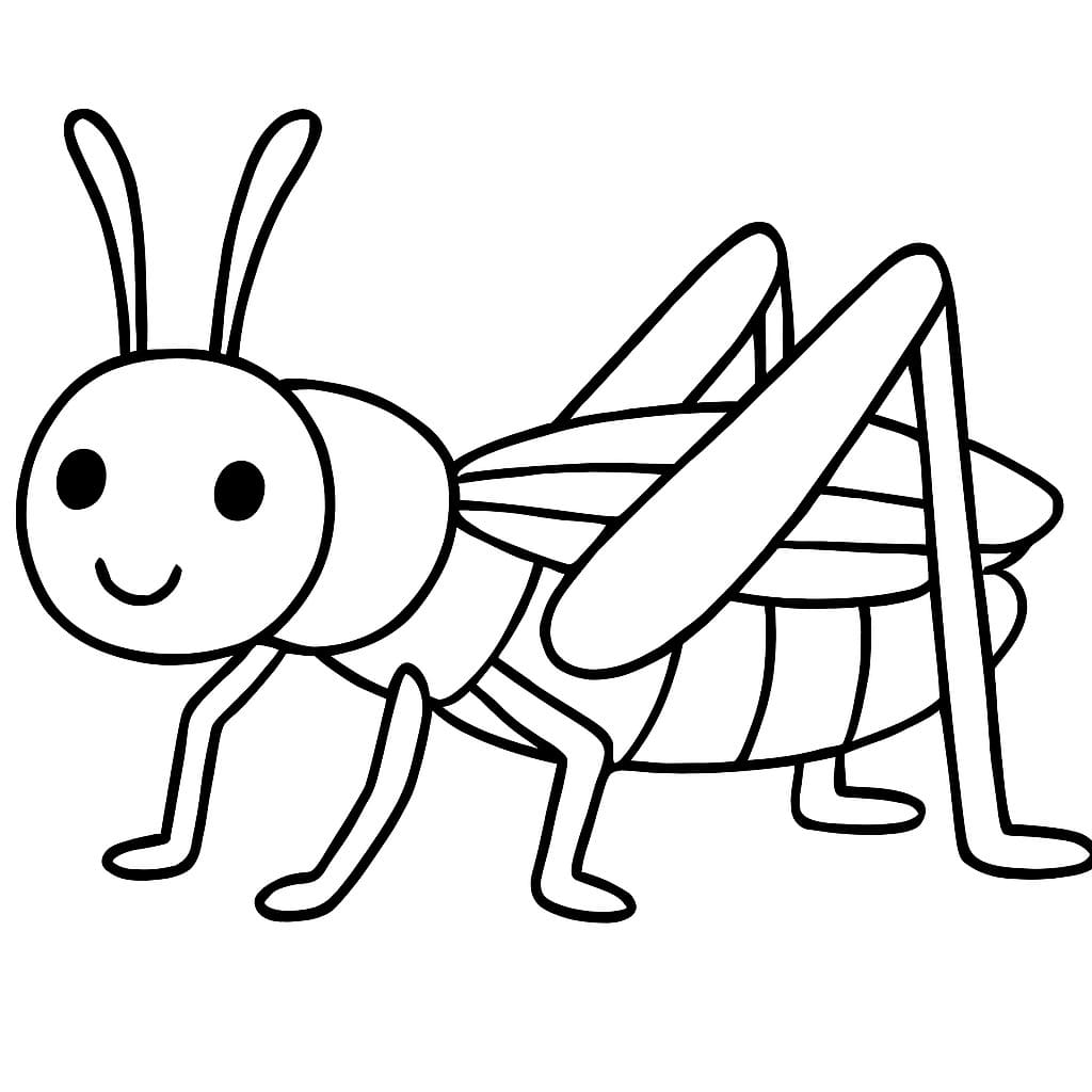 Hmyz Kobylka omalovánka