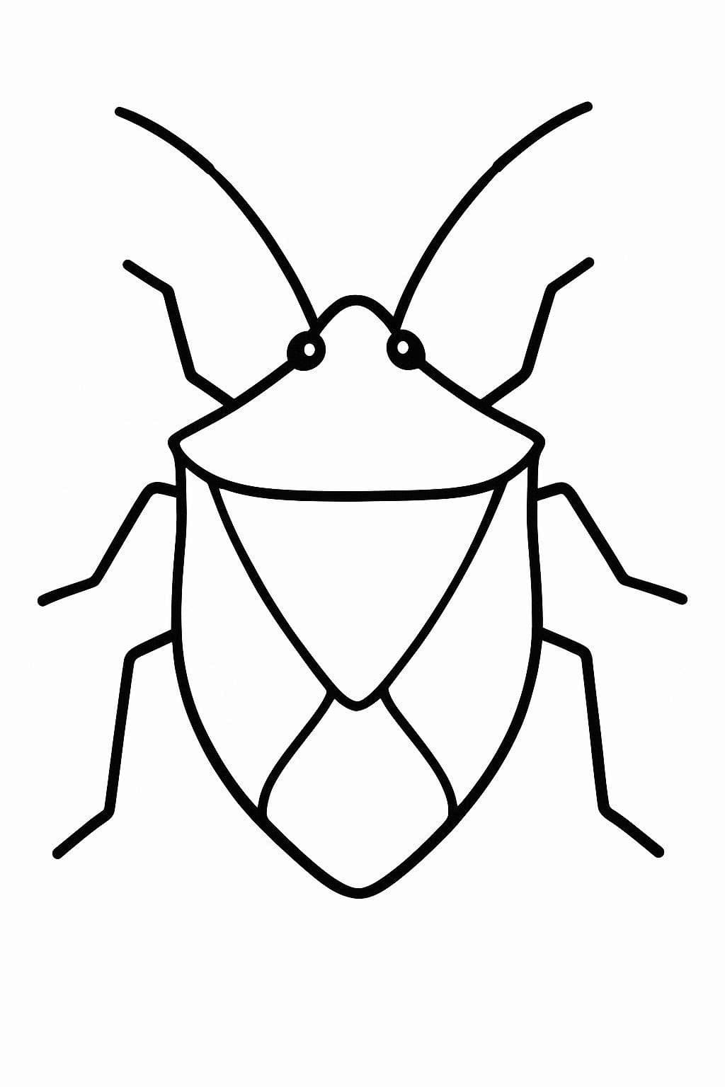 Hmyz Smradlavý štěnice omalovánka