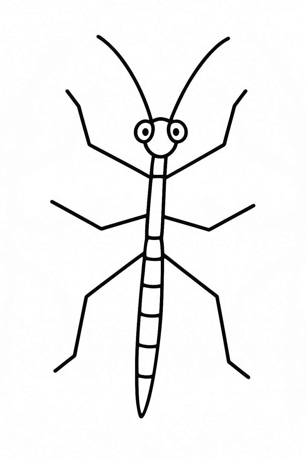 Hmyz pakobylka omalovánka