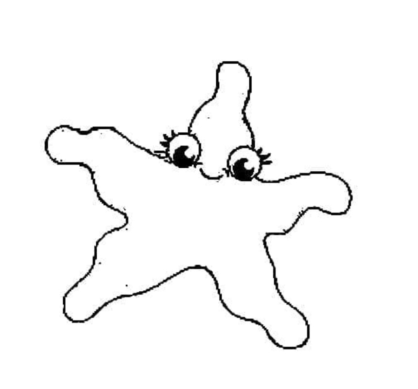 Hvězdice tisknutelné pro děti omalovánka