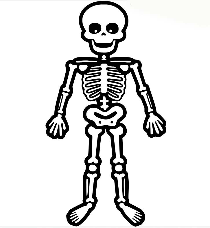 Kostra 1 omalovánka