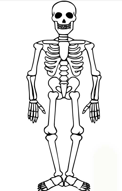 Kostra 5 omalovánka