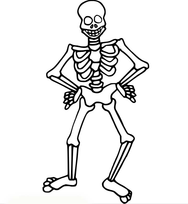 Kostra 6 omalovánka