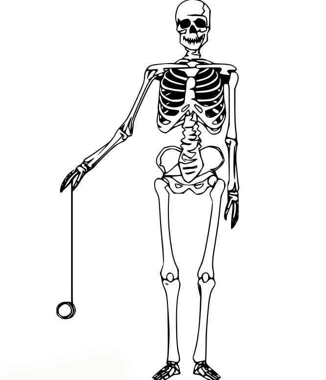 Kostra 8 omalovánka