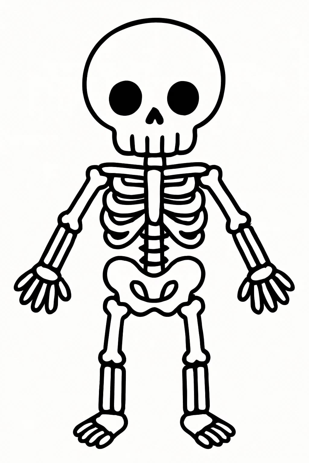 Kostra snadný u dětí omalovánka