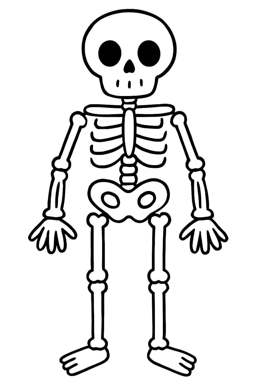 Kostra zdarma tisknutelné pro děti omalovánka