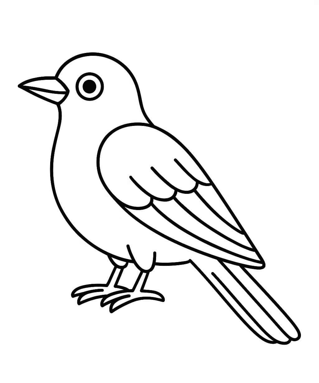 Kukačka zdarma prostý omalovánka