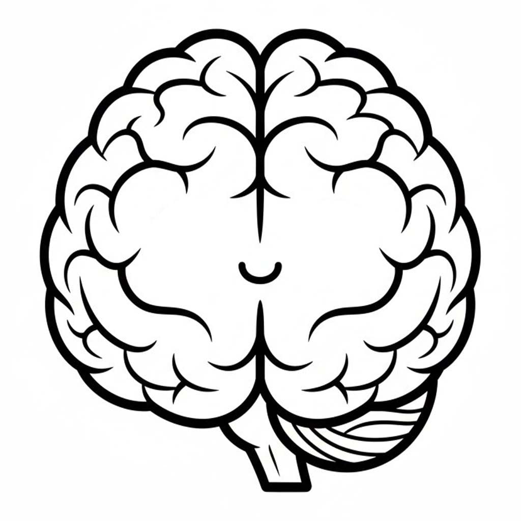 Mozek 2 omalovánka