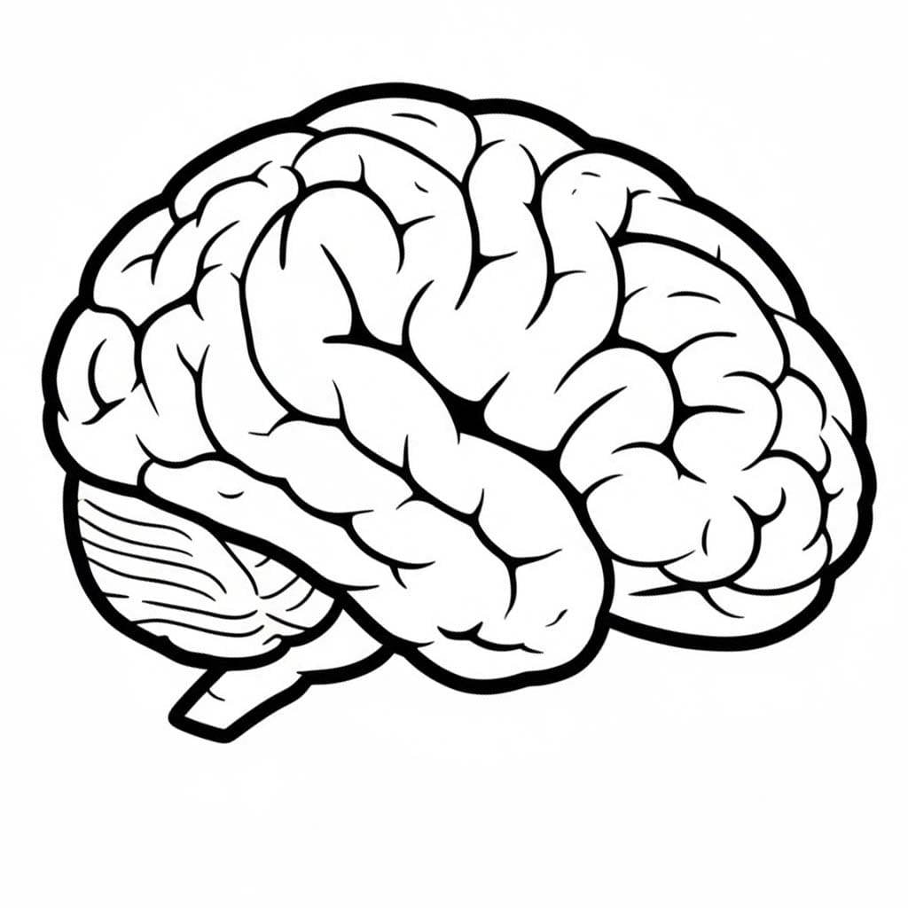 Mozek 3 omalovánka