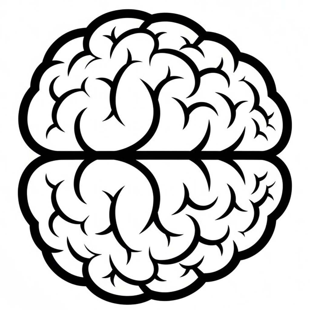 Mozek 4 omalovánka