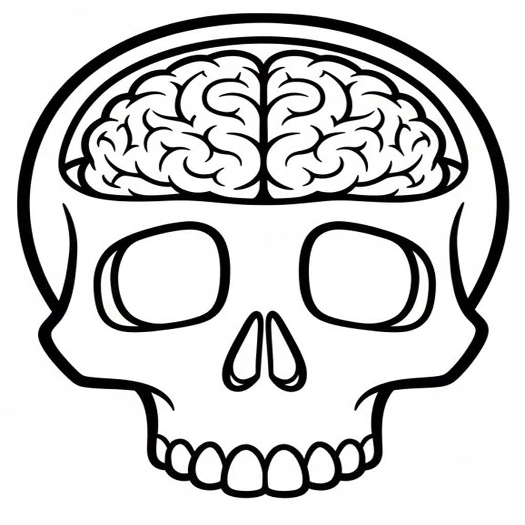 Mozek 5 omalovánka