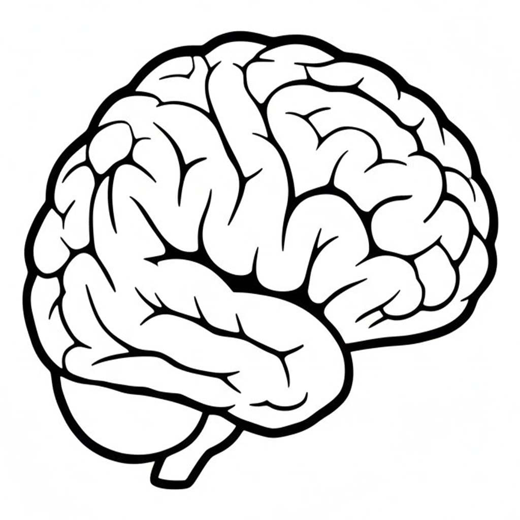 Mozek zdarma prostý omalovánka
