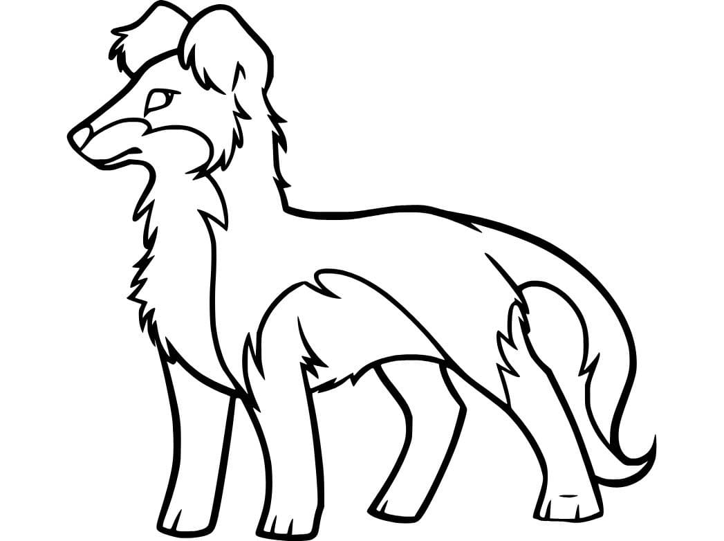 Nakreslete Border Kolie 3 omalovánka