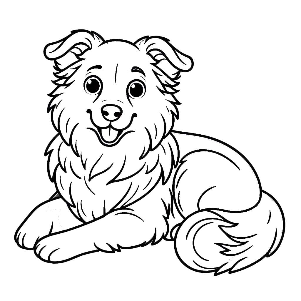 Nakreslete Border Kolie snadný u dětí omalovánka