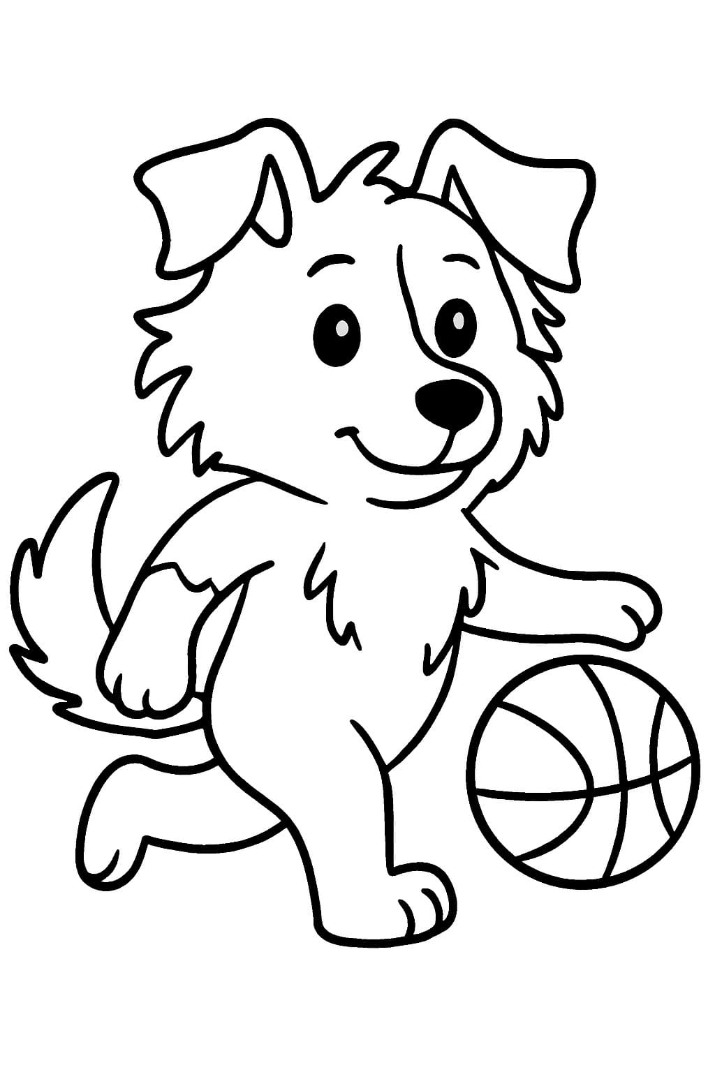 Nakreslete Border Kolie tisknutelné omalovánka