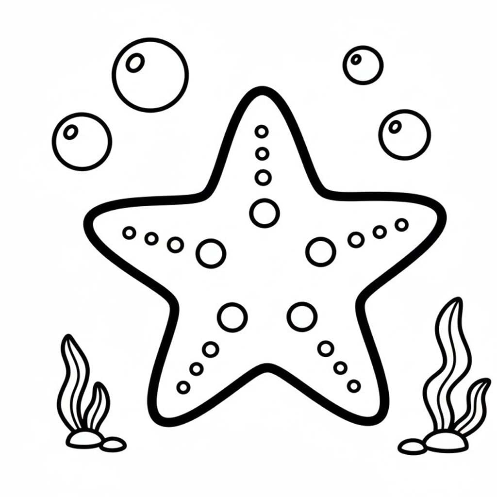Nakreslete Hvězdice zdarma základní omalovánka