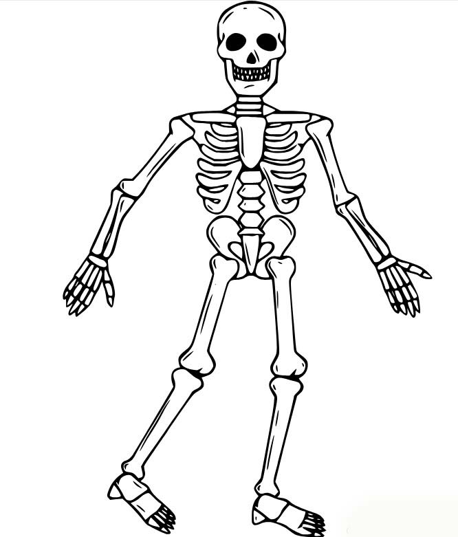 Nakreslete Kostra zdarma základní omalovánka