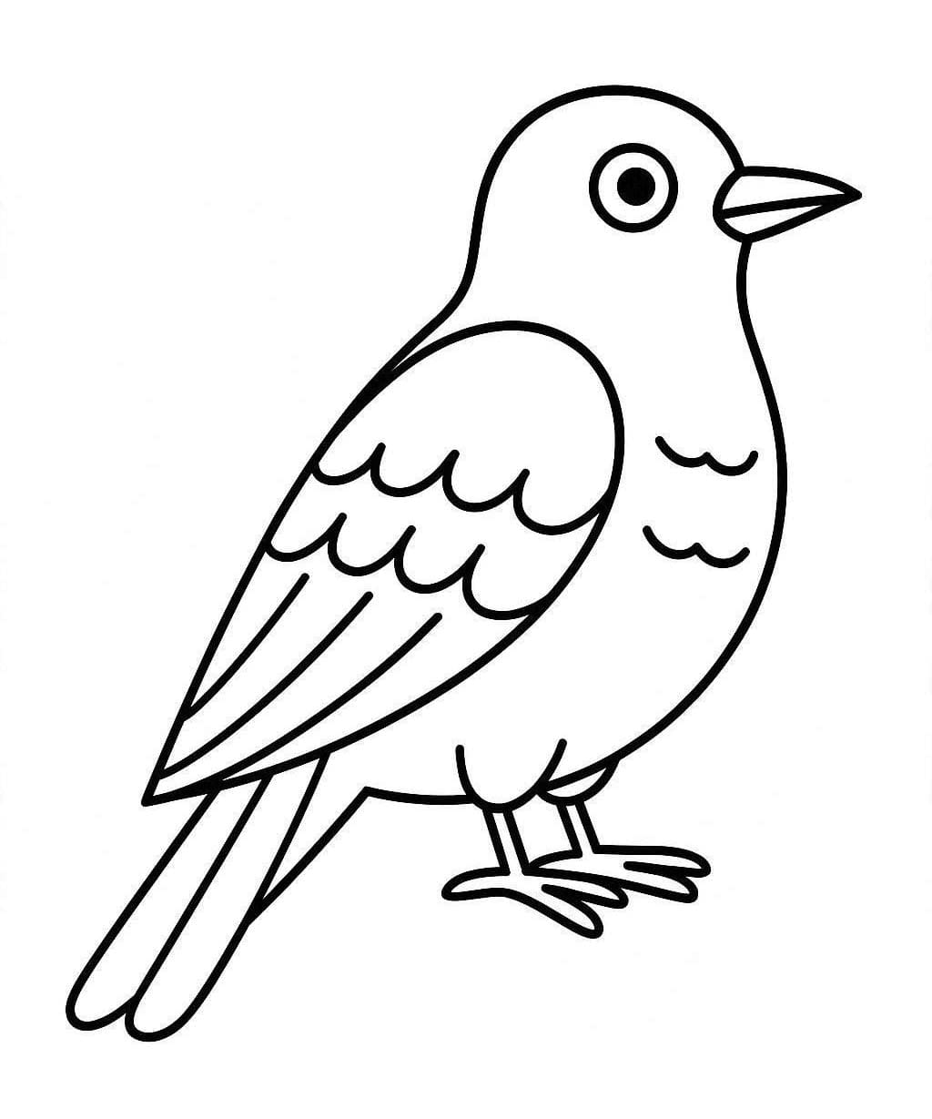 Nakreslete Kukačka zdarma prostý omalovánka