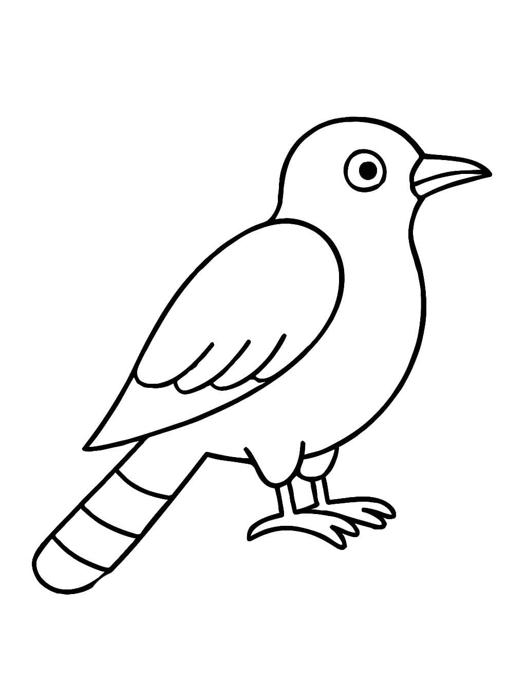 Nakreslete Kukačka zdarma základní omalovánka