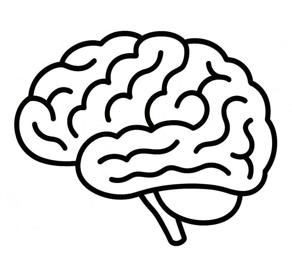 Nakreslete Mozek zdarma prostý tisknutelné omalovánka