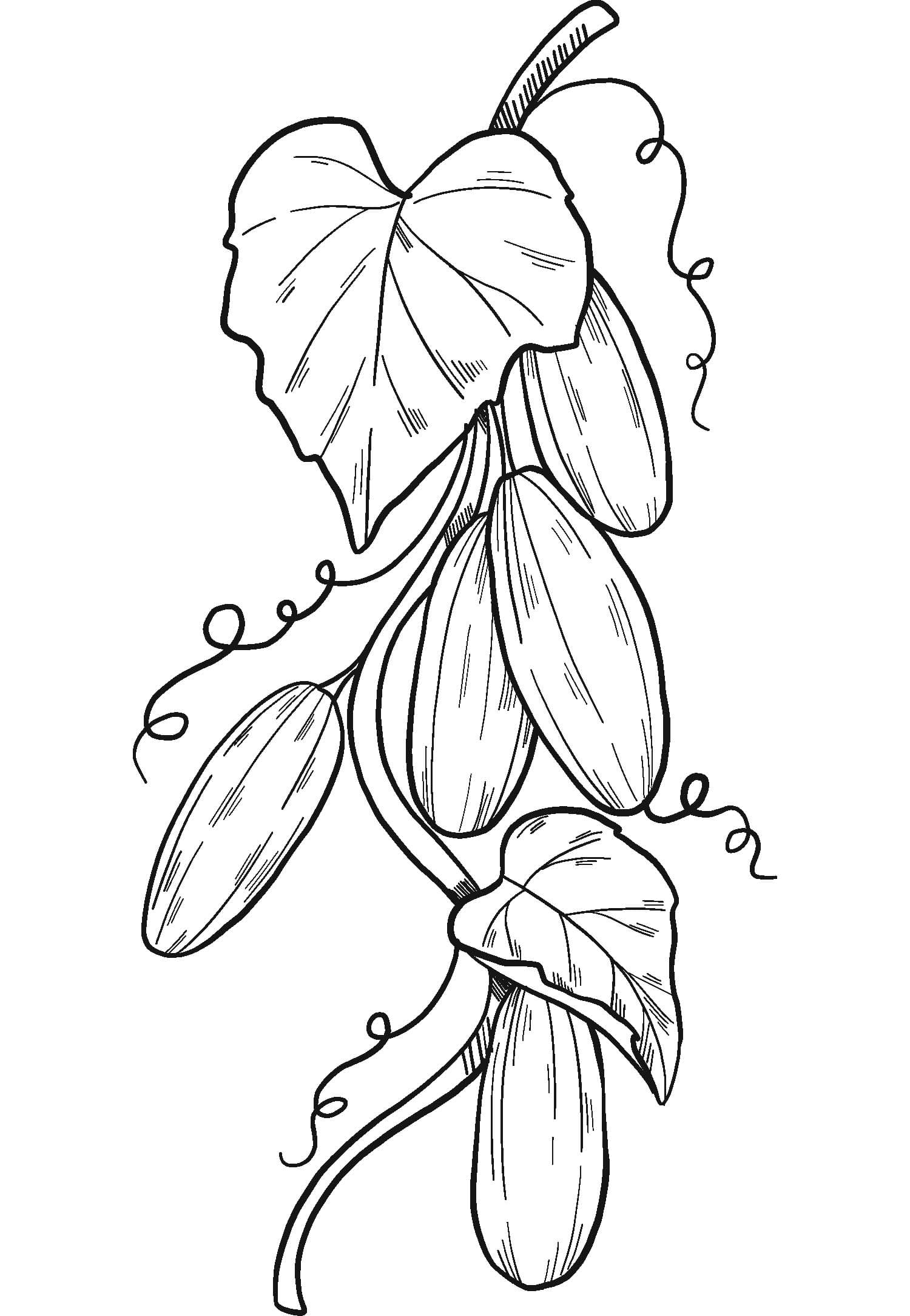 Nakreslete Okurka základní u dětí omalovánka