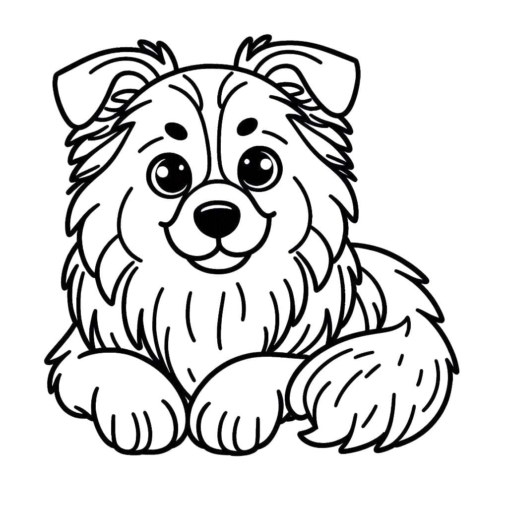 Obraz Border Kolie k vytisknutí omalovánka