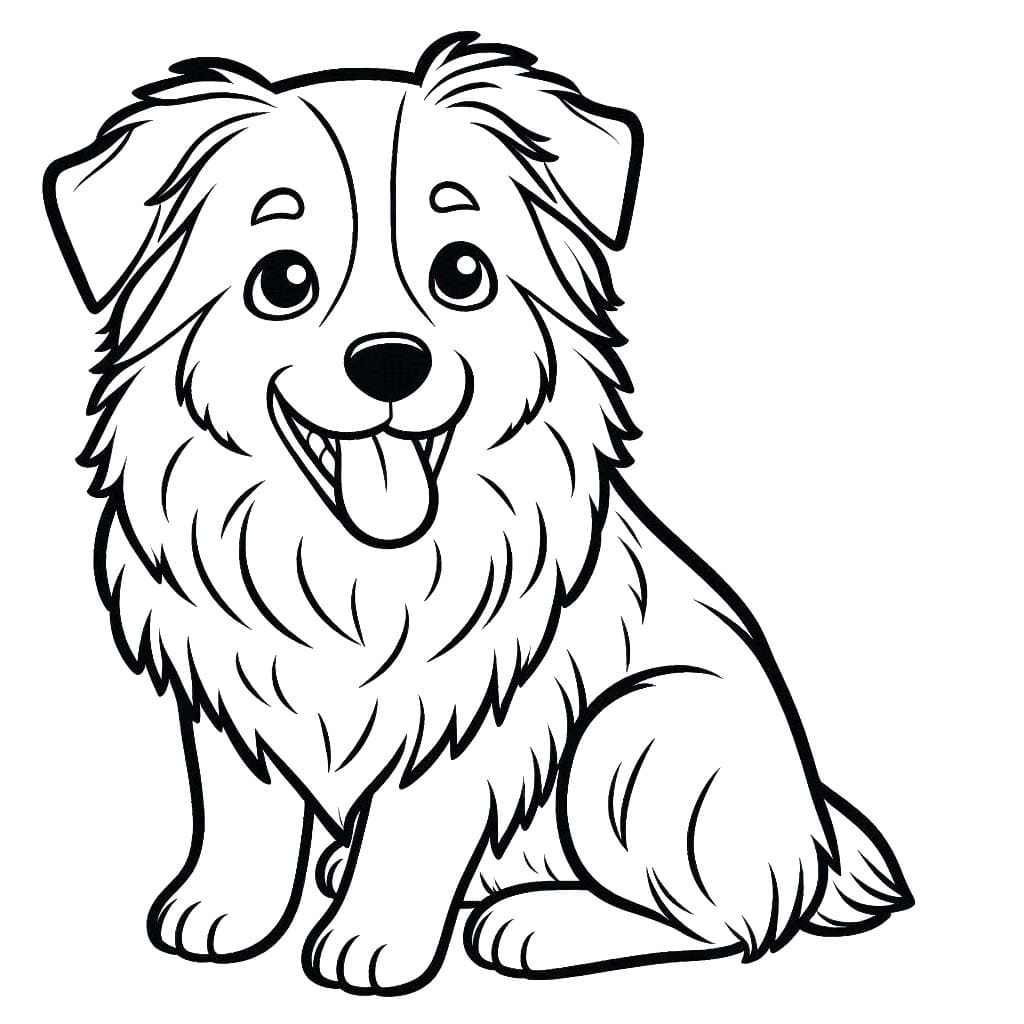 Obraz Border Kolie omalovánka