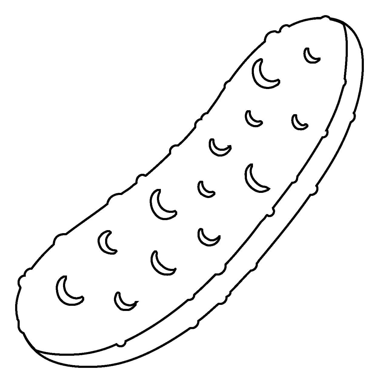 Okurka 2 omalovánka