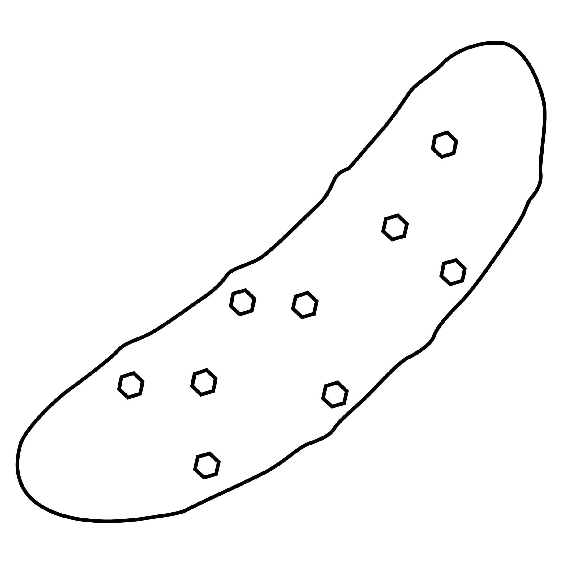 Okurka 5 omalovánka