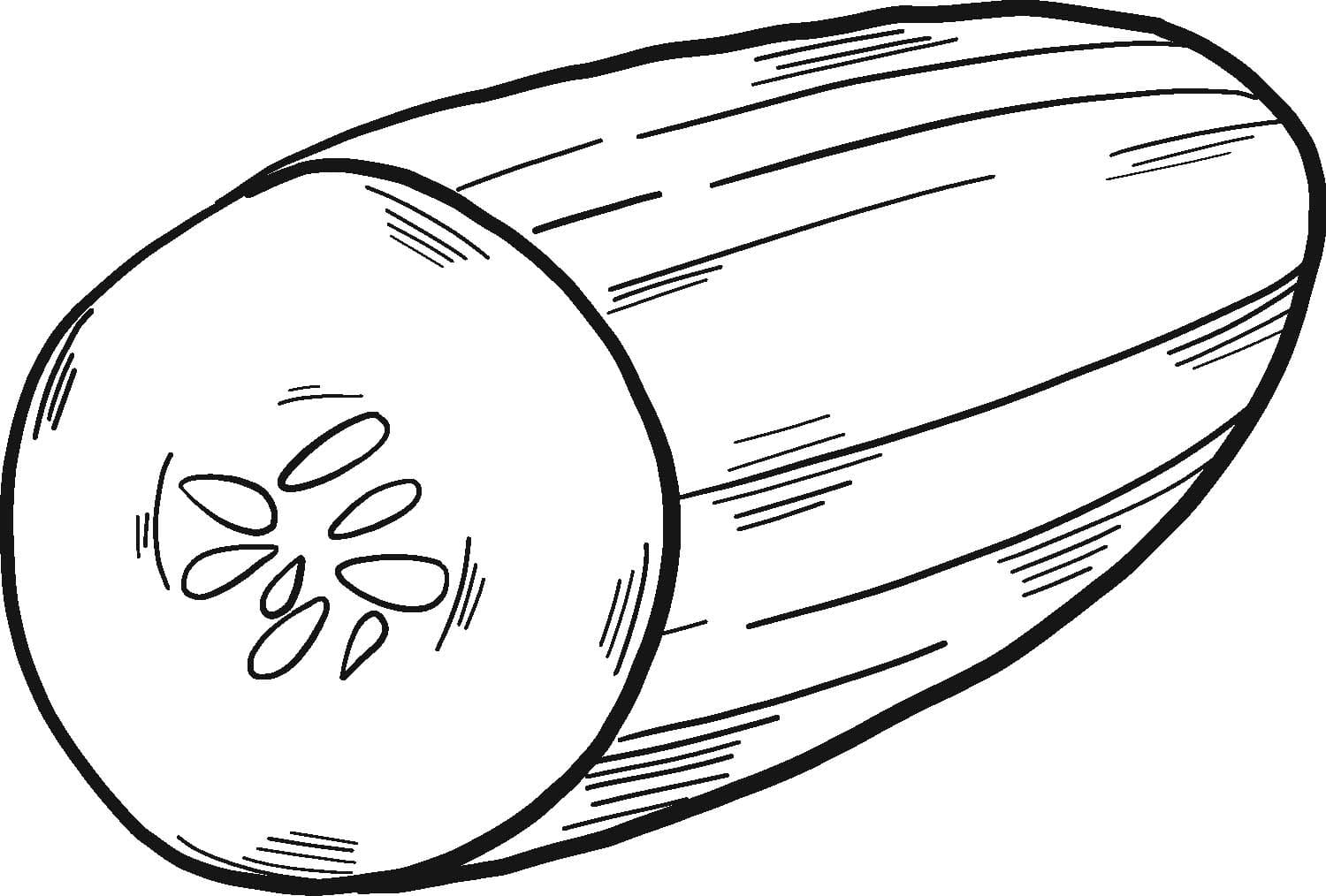 Okurka snadný u dětí omalovánka