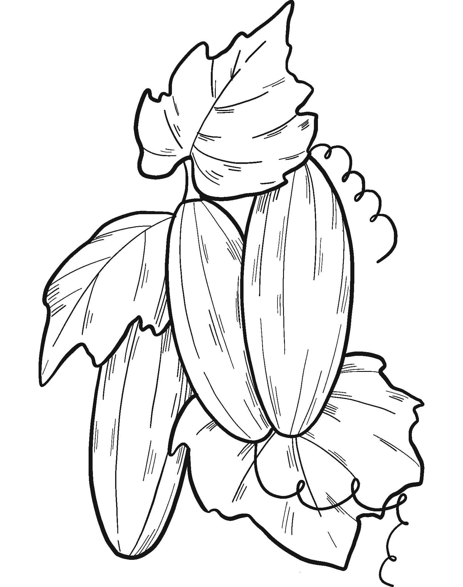 Okurka tisknutelné omalovánka