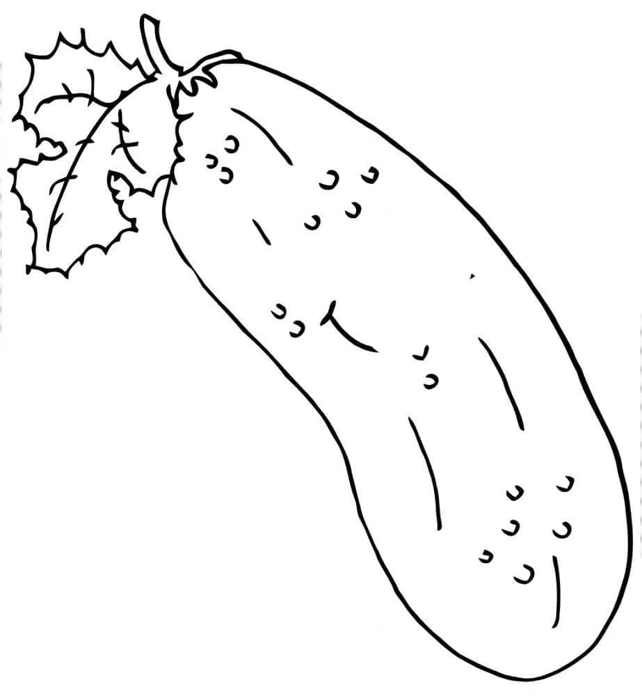 Okurka základní u dětí omalovánka