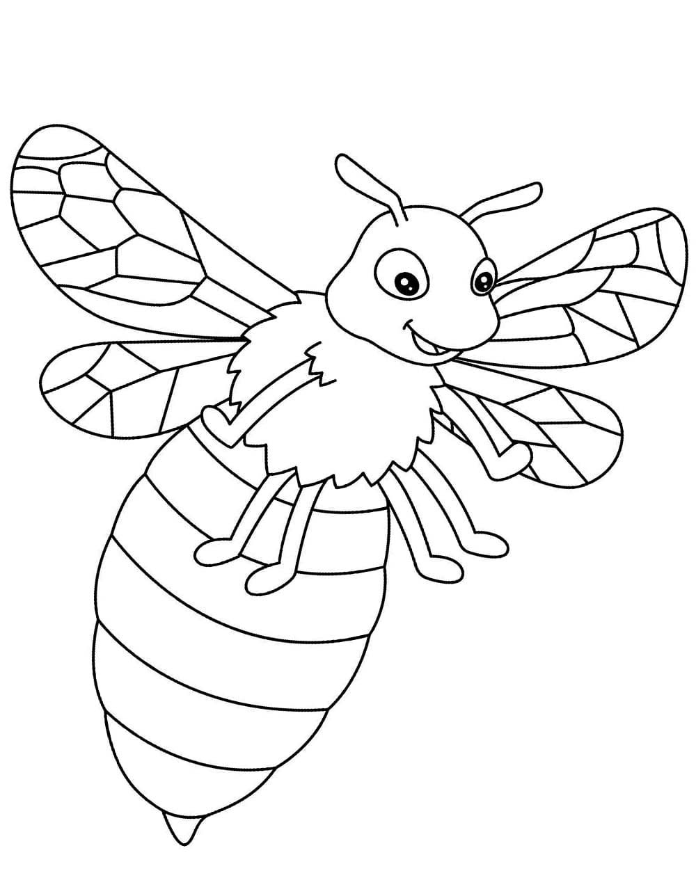 Včela Hmyz omalovánka