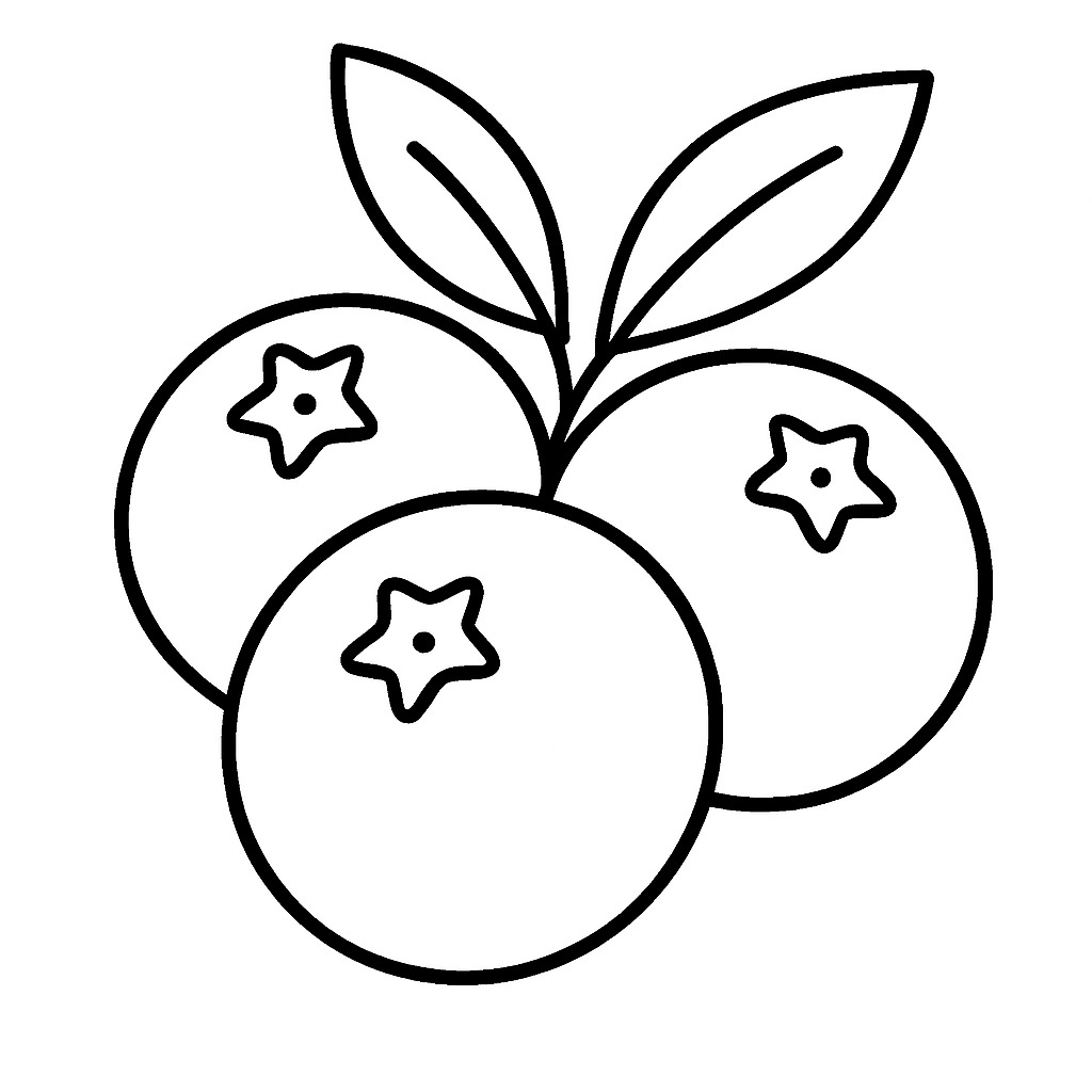 Borůvka 1 omalovánka