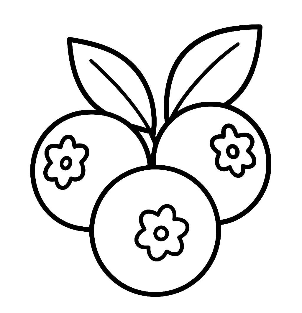 Borůvka 3 omalovánka