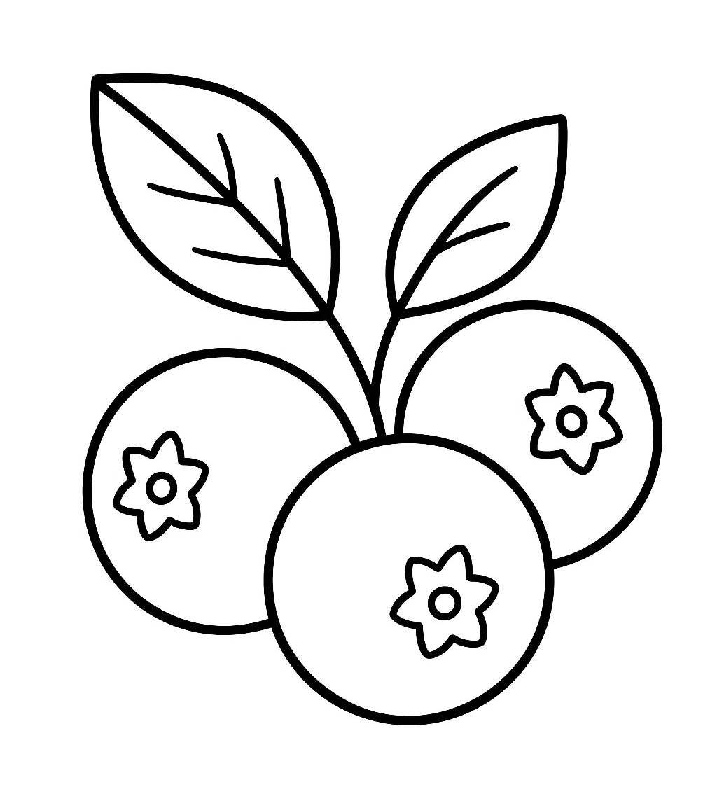 Borůvka 4 omalovánka