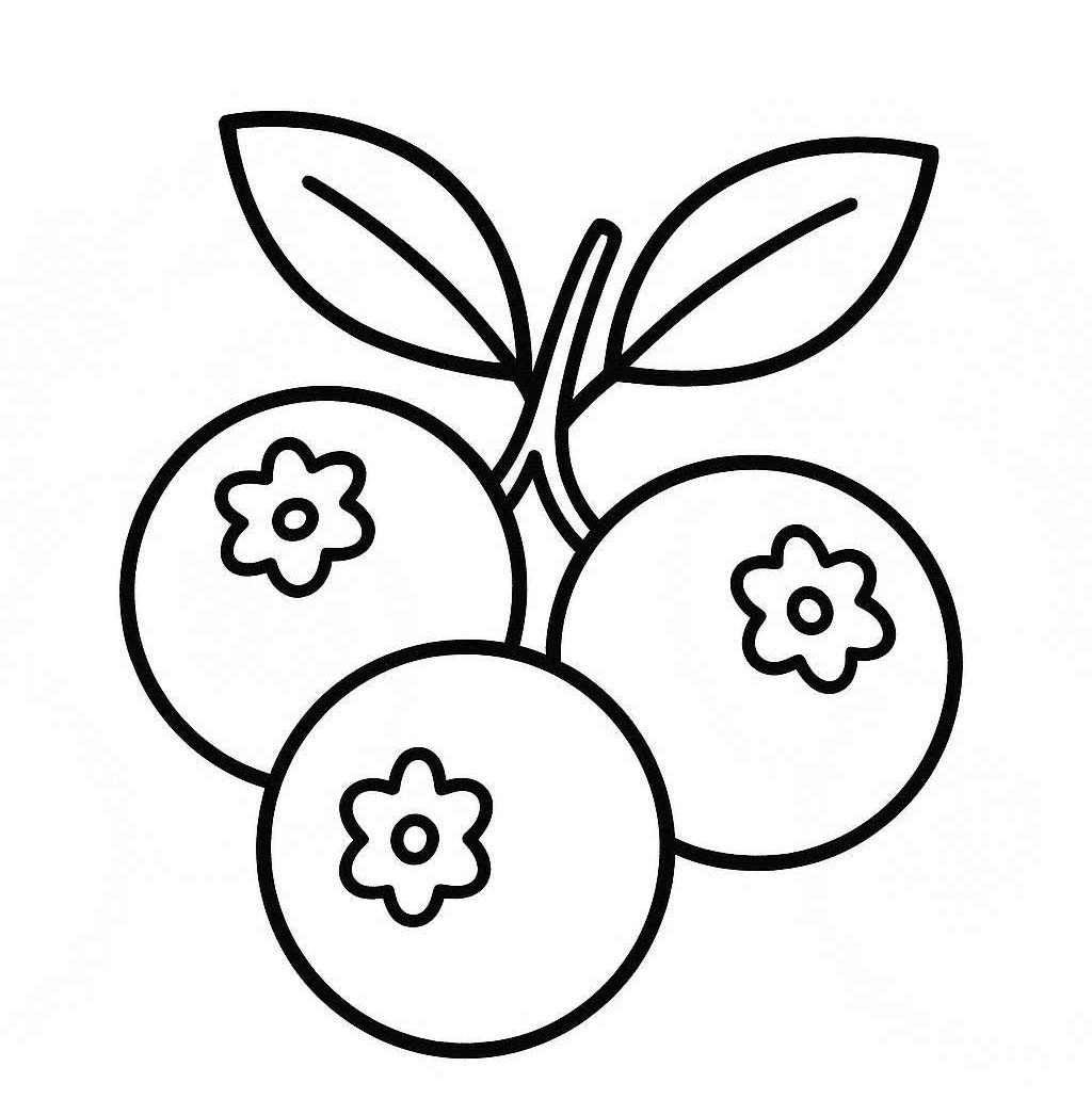 Borůvka 5 omalovánka