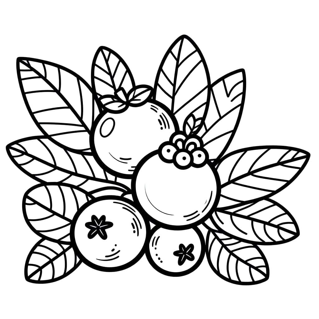 Borůvka k vytisknutí zdarma omalovánka