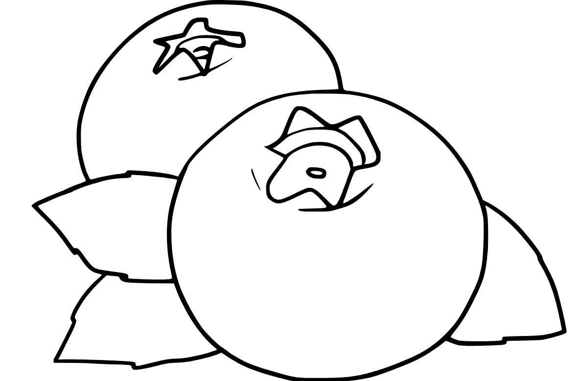 Borůvka pro děti omalovánka